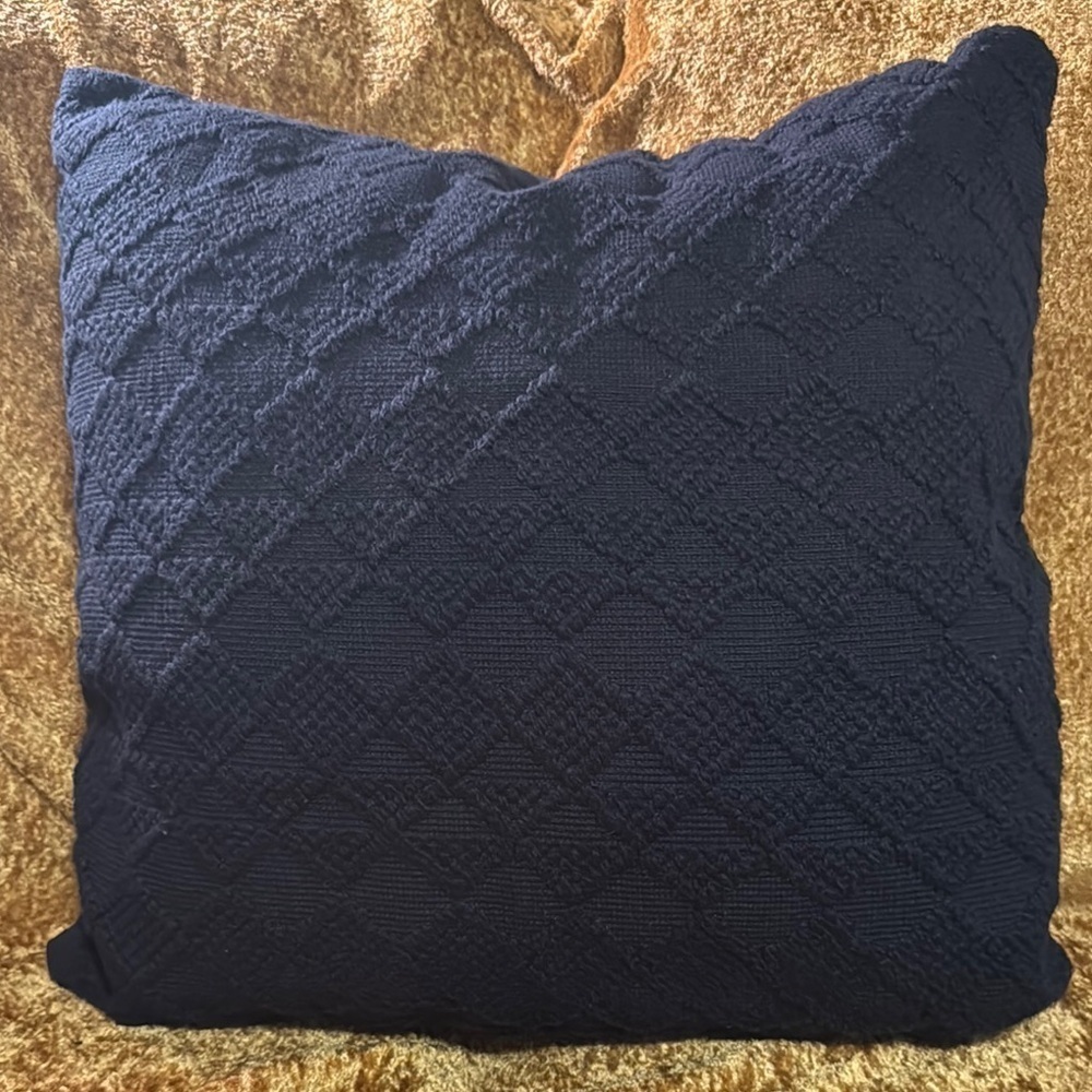 Brentwood Elegant Blue Woven Cotton Textured Square Throw Pillow